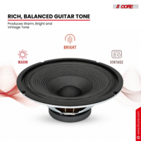 Haut-parleur de guitare 5 cœurs 12 pouces 300W de remplacement 16 Ohm pour amplificateur et caisson