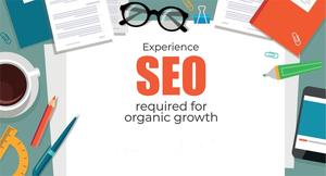 Ofrecemos servicios integrales de SEO enfocados en estrategias avanzadas de optimización de páginas web y fuera de la web. - Product Image 4