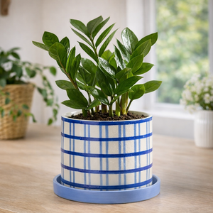 Maceta de Cerámica Esmaltada a Rayas con Bandeja de Drenaje, Acabado Duradero, Elegante Decoración para Interiores, Hogar y Jardín - Product Image 1