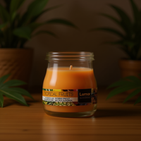 Vela Aromática de Parafina Moderna con Aroma a Frutas, 100g, en Frasco de Vidrio, Decoración para el Hogar