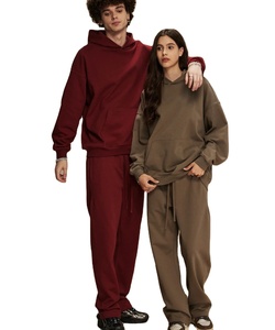 Automne hiver femmes 2 pièces sweat décontracté ensemble chaud polaire survêtement brodé capuche Jogging pantalon solide motif tenues - Product Image 4