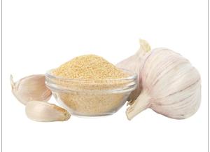 Poudre d'extrait d'ail blanc granulé, concentré, déshydraté, naturel et biologique en vrac - Product Image 2