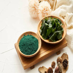 Espirulina India Fresca Premium en Polvo, Alga Natural, Superalimento Verde, Ingrediente para la Nueva Temporada, Suministro al por Mayor e Internacional - Product Image 1