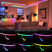 Bande LED RGB intelligente avec contrôle par application et télécommande, éclairage de chambre, décoration flexible pour la maison, 12V/24V, étanche IP68, pixels dynamiques RGB pour aménagement paysager