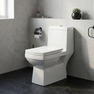 Premium EWC Ceramic One Piece Water Closet Indian Factory Asian Toilet For Modern Bathroom Sanitary Ware Projects - Product Image 1