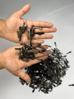 Embouts de lunettes en corne de buffle naturelle, faits à la main, durables et de qualité supérieure, brun moyen, pour composants de lunettes NHE Overseas