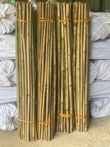 Postes de Bambú Naturales Ecológicos de Primera Calidad para Cercas de Jardín, Agricultura, Material para Tubos, Portavasos, Tazones - Macy - Product Image 3