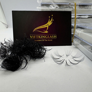 Extensions de cils préfabriquées 10D faites à la main au Vietnam, en cheveux synthétiques 0.05, naturelles, longues, courbure C CC, noir mat, volume, vente en gros - Product Image 3