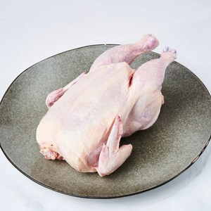 Poulet entier congelé faible en gras à prix avantageux à vendre - Product Image 4