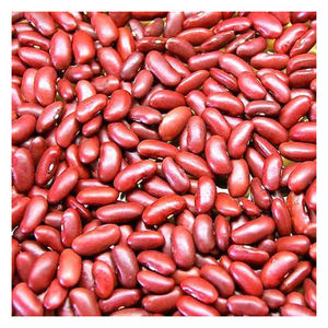 Proveedor de Frijoles Rojos de Calidad de Exportación en Empaque a Granel, Frijoles Secos Naturales para Compradores Internacionales y Supermercados - Product Image 1