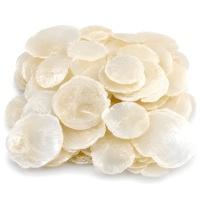Coquilles de capiz naturelles, disques plats ronds sans trous, prix bas, fournitures pour bijoux et artisanat en coquillages.
