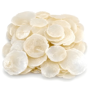 Conchas de capiz naturales, discos planos redondos sin agujeros, precio bajo, suministros para artesanía y joyería de conchas marinas - Product Image 6