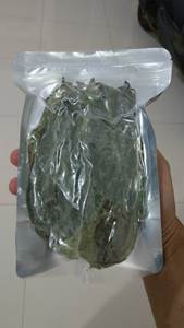 FEUILLE DE SOURSOP SÉCHÉE EN VRAC POUR L'EXPORTATION-QUALITÉ SUPÉRIEURE-APPROVISIONNEMENT DIRECT - Product Image 6