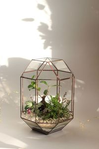 Juego de terrarios modernos de metal y vidrio personalizados en color negro para plantas de interior, suculentas, plantas aéreas y terrarios DIY. - Product Image 2