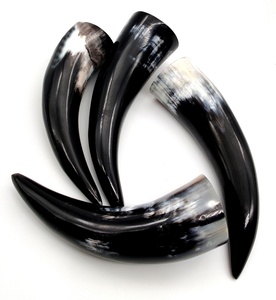 Natural Buffalo Horn <b>Drinking</b> Set with Horn <b>Stand</b> 4-Piece Polished Animal Theme Home Decoration Durable Polished Viking horns - Product Image 4
