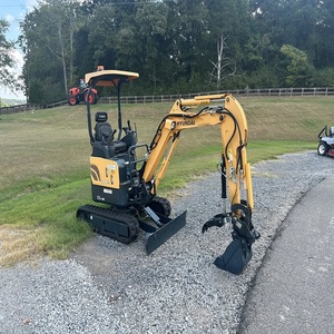 Miniexcavadora Hyundai de Alta Calidad con Dimensiones Compactas y Funcionamiento Confiable para Empresas de Construcción y Jardinería - Product Image 3