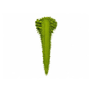 Matcha en Polvo Orgánico KAN-22 de Primera Calidad, 1 kg/bolsa, Cosecha de Kioto, Proveedor de Uji, Japón - Product Image 2
