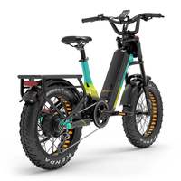 Vélo électrique Lankeleisi RX800 Plus 1000W 20 pouces à pneus larges, vélo électrique tout suspendu avec capteur de couple, batterie 48V 20Ah, vélo électrique SUV