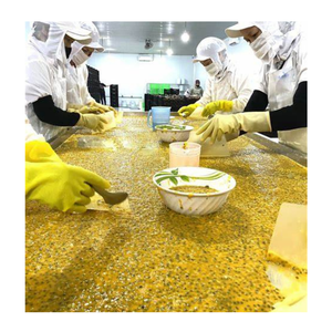 Jugo de maracuyá a granel para exportación, jugo de maracuyá de Vietnam, jugo natural congelado sin semillas para batidos, cócteles y helados - Product Image 5