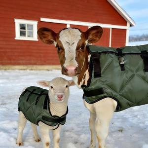 Customizable Fully <b>Wrapped</b> Windproof Calf Blanket Waterproof Thickened Fleece Livestock Jacket Full Belly Neck Protection - Product Image 5