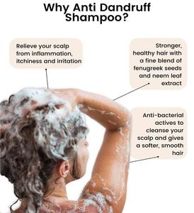 Champú Orgánico Anticaspa OEM ODM con Aloe Vera y Árbol de Té para Eliminar la Caspa y Nutrir el Cabello, Marca Privada, Venta al Por Mayor - Product Image 2