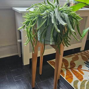 Support pour plantes d'intérieur avec design surélevé, finition en bois naturel, pieds robustes, parfait pour plusieurs pots, décoration de salon et de maison - Product Image 2