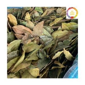 ชาสมุนไพรต้านอนุมูลอิสระ |   ใบกระเจี๊ยบเขียวแห้งพรีเมียมขายส่งจำนวนมาก - Product Image 3