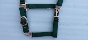 En gros : Collier de tête pour cheval en nylon premium, Produits équestres, Licol, Bridon, Collier de tête - Product Image 3