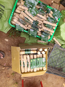 Bâton à mâcher pour chien en bois de café écologique, sans éclats, jouet naturel pour animaux de compagnie, pour le nettoyage des dents et le soulagement de l'ennui - VENTE CHAUDE - Product Image 5