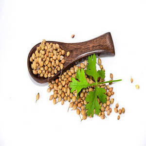 Semillas de Cilantro Indio Enteras con Aroma Distintivo y Sabor Natural, Ideales para Empaquetado a Granel, Exportación y Especias Comerciales - Product Image 2