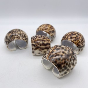 Anillos para Servilletas de Concha Natural, Soporte de Concha de Cauri Pulida, Decoración Rústica para el Hogar, Decoración de Mesa - Product Image 1