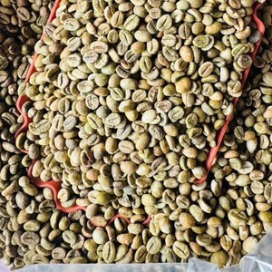 Fournisseur d'exportation en gros de grains de café vert Robusta naturel non transformé Direct Farm Vietnam - Product Image 3