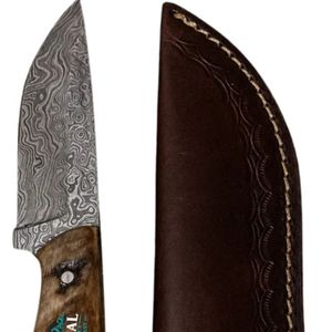 Couteau de chasse à lame fixe avec manche bicolore en bois foncé et résine bleue, couteau de survie pour le camping et la chasse en plein air, lame pleine longueur - Product Image 3