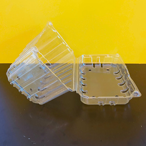 BPA Free Disposable Custom Logo Food-grade PET <b>Clear</b> Plastic Container for Fruit & <b>Cake</b> Fresh Keeping Packaging - Product Image 4