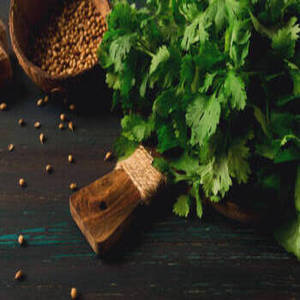 Graines de coriandre entières indiennes de qualité supérieure, 100% pures, récolte fraîche, naturellement nettoyées, épice naturelle, Gujarat International Distributors - Product Image 2