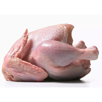 Poulet entier congelé de qualité supérieure, grade A, halal, caféiné, en vrac, le plus vendu, premium