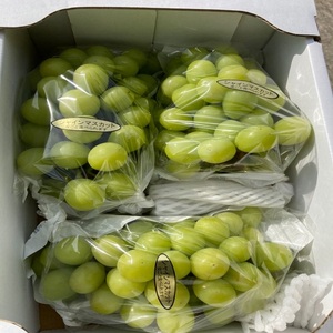 Uvas Verdes Sin Semillas de Vietnam |   Uvas Frescas y Crujientes para Venta al por Mayor y Exportación - Product Image 3