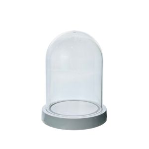 Clear <b>plastic</b> plant terrarium - Product Image 2