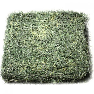 Heno de Alfalfa, Heno Natural a Granel para Animales Pequeños, Distribución Mayorista a Nivel Mundial - Product Image 4