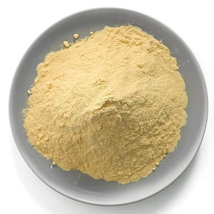 Extrait de levure de qualité alimentaire OEM, poudre de levure 100% pure et naturelle, riche en protéines, acides aminés et nutriments - Product Image 1
