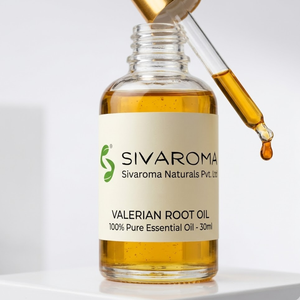 High Purity Valerian Root Oil for Commercial Aroma Product Manufacturing and Large <b>Scale</b> Cosmetic Production - Product Image 1