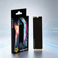 Pembelian Grosir SSD Internal PCIe NVMe M.2 Baru untuk Desktop dengan Logo Kustom, Kecepatan Baca/Tulis Tinggi, Modul Lengkap