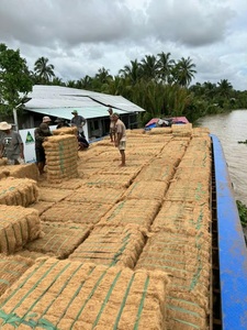 บรรจุภัณฑ์แบบกำหนดเองที่เป็นมิตรกับสิ่งแวดล้อม เวย์อาร์โก ใยมะพร้าวธรรมชาติคุณภาพส่งออก ใยเปลือกมะพร้าวขายส่งแบบมัด ขนาด 5-25 ซม. - Product Image 6