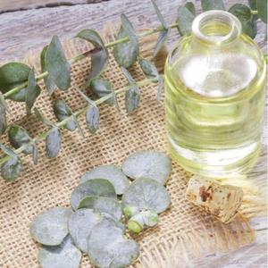 Natural Eucalyptus <b>Essential</b> <b>Oil</b> for Soap Making Candle Making and Handmade Craft Product Manufacturing Available In Bulk - Product Image 6
