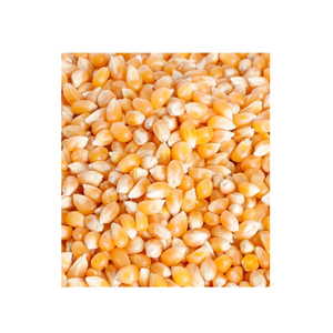 Palomitas de Maíz al Por Mayor Más Vendidas, Grado Alimenticio Premium, Suministro a Granel, Stock Disponible, Fabricante Exportador - Product Image 1