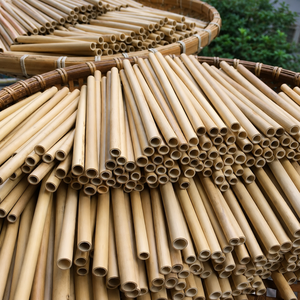 <b>Bamboo</b> <b>Straws</b> Eco-Friendly Reusable Drinking <b>Straws</b> Sustainable & Natural VIET DELTA CORPORATION Nghe an/ MS ALINA - Product Image 5