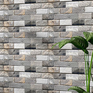 Azulejos de Porcelana de Primera Calidad para Paredes y Pisos Exteriores de 300x600 mm con Superficie de Alta Profundidad para un Diseño Moderno - Product Image 2