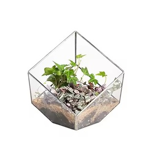 Elegant <b>Frame</b> Metal Terrarium Glass <b>Plant</b> Holder Stylish Indoor Garden Display Box Home Decoration - Product Image 6