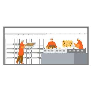 Fly Black Soldier BSF Brewery Waste 250t/Week Equipment BSF Farm Black Soldier Fly - Product Image 2