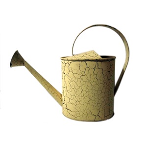 Arrosoir en métal antique fini rustique, de haute qualité, pour la décoration extérieure du jardin, taille personnalisable - Product Image 5